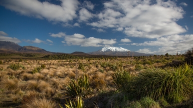 Фото нашей туристки Татьяны Руновой