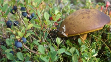 Фото: Антон Певцов