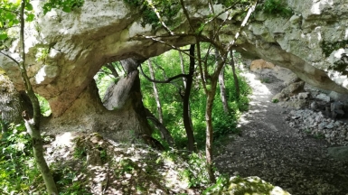 Фото нашего гида Елены Кузура