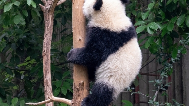 Автор: xiquinhosilva, источник: visualhunt