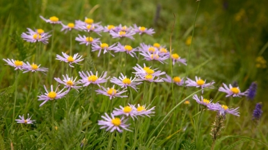 Фото нашего Странника Павла Кузьмина