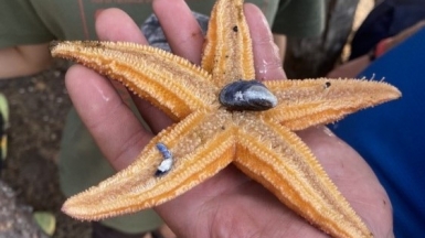 Фото наших Странников