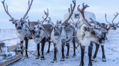 Фото: Hans Jurgen on Unsplash