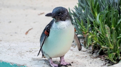 Фото: Kunal Kalra, unsplash.com