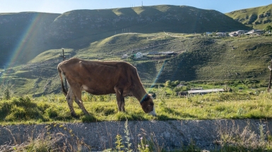 Фото: Anton Maksimov 5642.su, unsplash.com