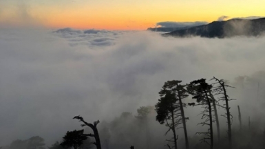 Фото нашей Странницы Аси Моисеевой