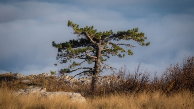 Фото Михаила Верёвченко