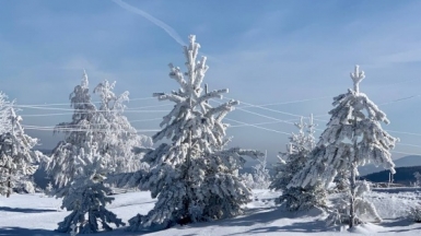 Фото нашей Странницы Нины Елфимовой