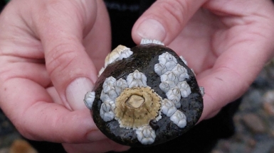 Фото наших Странников