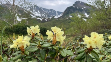 Фото нашей Странницы Дарьи Стриженок