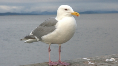 Фото: Ernest Boyd on Unsplash