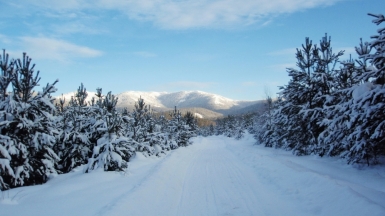 Фото из архива Клуба