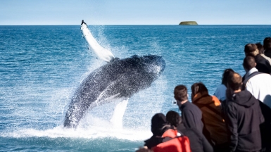 Фото из архива Клуба