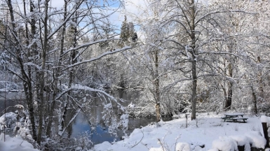 Фото: Shelley Pauls, unsplash.com