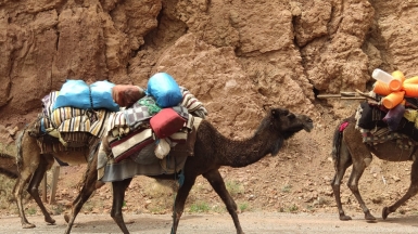 Фото нашего гида Евгении Скопиной