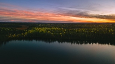 Фото: Nikolay Vorobyev, unsplash.com