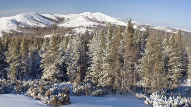 Фото из архива Клуба