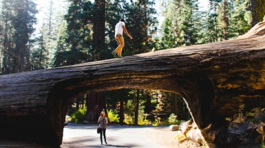 Фото: Zachary Tan, unsplash.com