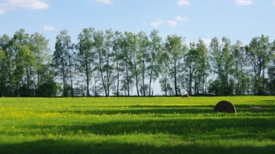 Дорога на Моревские карьеры. Фото нашего Странника Андрея Блохина