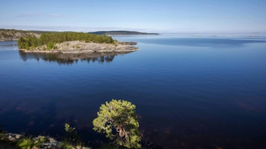 Фото нашего гида Михаила Верёвченко