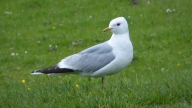 Фото: gailhampshire, visualhunt.com