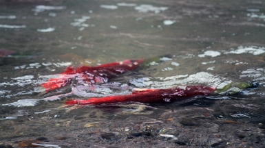 Фото из архива Клуба