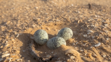 Фото нашего гида Михаила Верёвченко