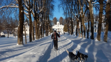 Аллея в парке. Фото нашего гида Ирины Пряничниковой Аллея в парке. Фото нашего гида Ирины Пряничниковой