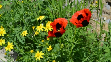 Фото нашего гида Вероники Кузенковой