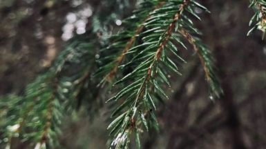 Фото наших Странников