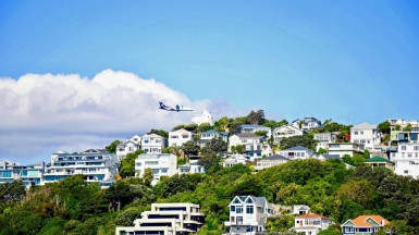 Веллингтон. Фото: Abel van Bruchem, unsplash.com