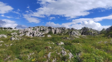 Фото нашего гида Елены Кузура