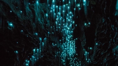 Фото из архива Клуба