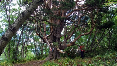 Фото нашего гида Геннадия Скосырева