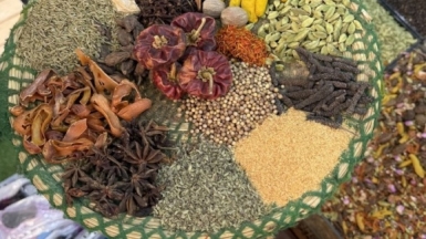 Фото нашей Странницы Светланы Пятовой