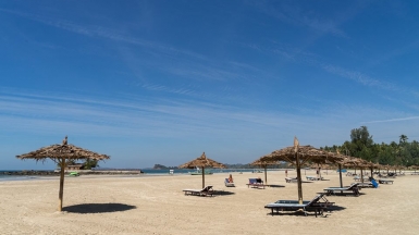 Фото Александра Рыбакова