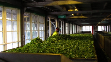 Фото нашего гида Лики Майстровой