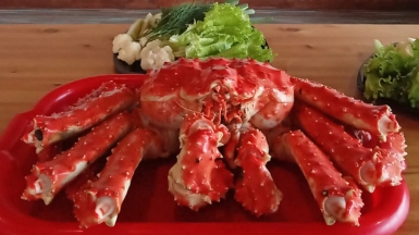 Фото Евгении Скопиной