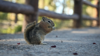 Фото: Stephen Leonardi, unsplash.com