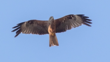 Фото нашего гида Михаила Верёвченко