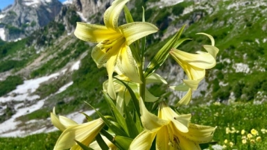 Фото нашей Странницы Оксаны Дегтярёвой