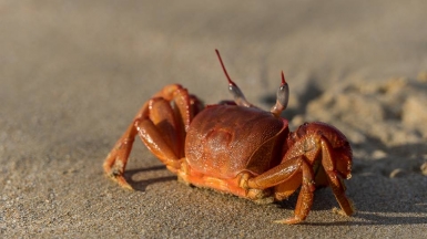 Фото Александра Рыбакова