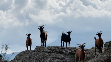 Фото нашей Странницы Аси Моисеевой