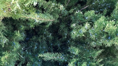 Фото нашей Странницы Натальи Белкиной