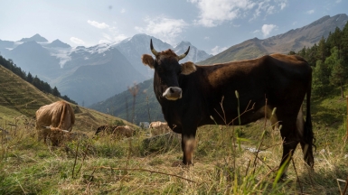 Фото с корпоратива Клуба