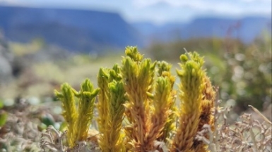 Фото наших Странников