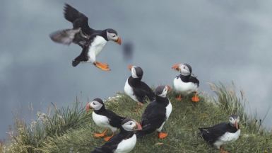 Фото Thomas Fatin для Unsplash.com