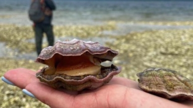 Фото из архива Клуба