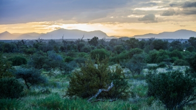 Фото: Ninara, visualhunt.com