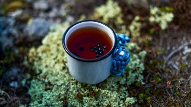 Фото: vlad ion on unsplash